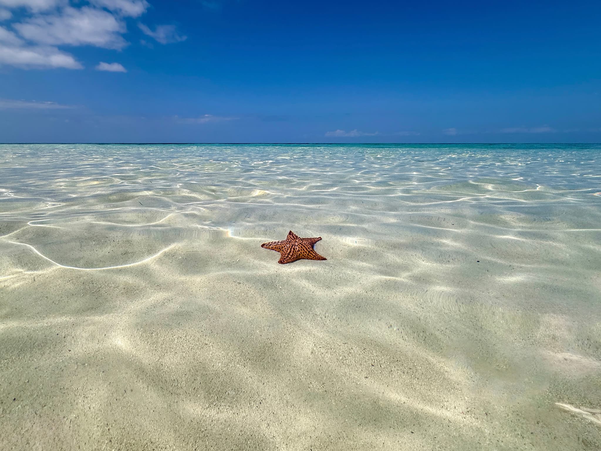 Coastal & Seascape — fine art photograph 1 of 7. Pacific, Caribbean & Gulf Waters. San Diego, CA · St. Maarten · St. Thomas · East Cape, Mexico. By Aaron B. Alford Sr.