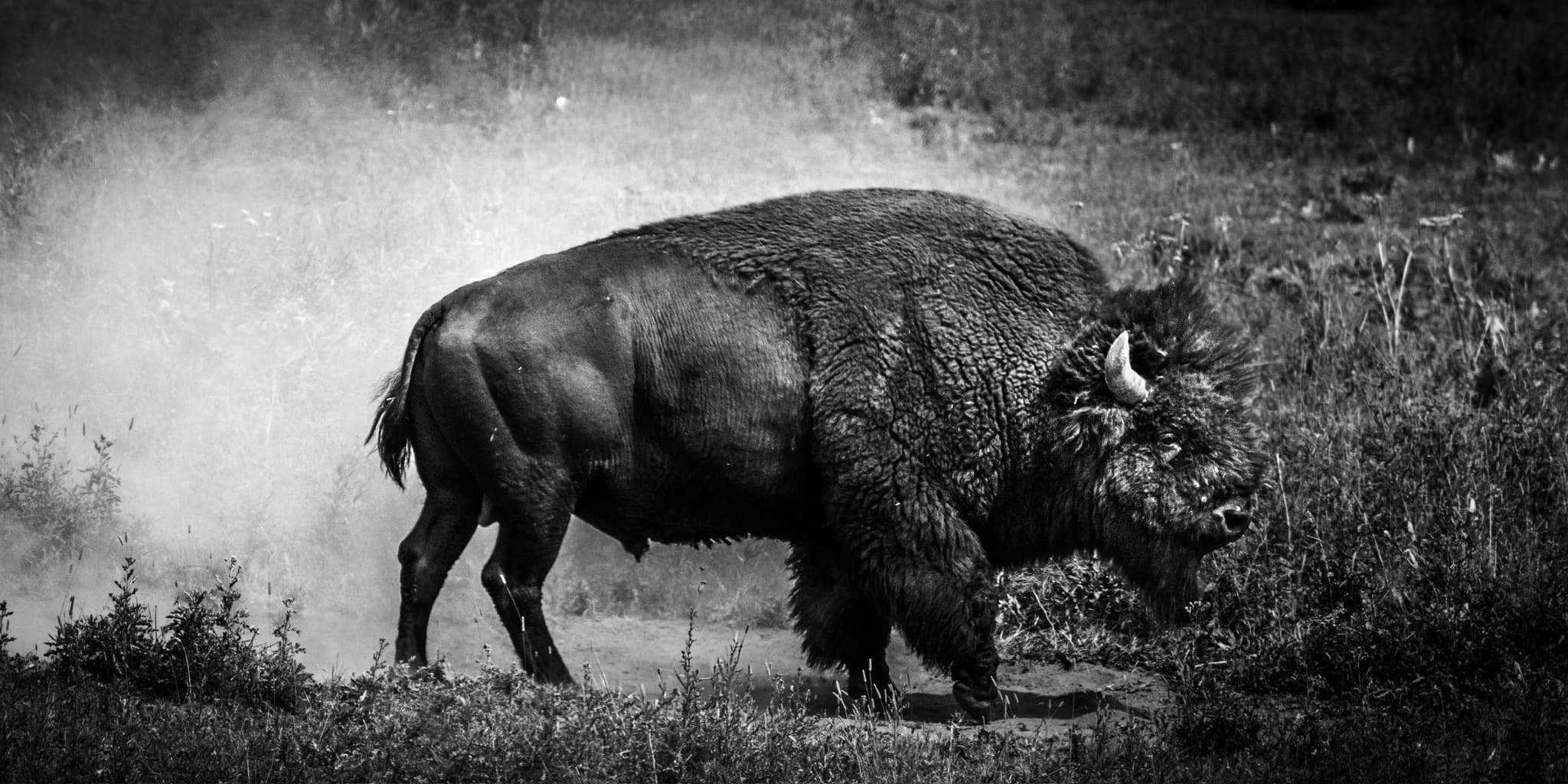 Montana — Yellowstone & the Northern Rockies. Fine art photography by Aaron B. Alford Sr.